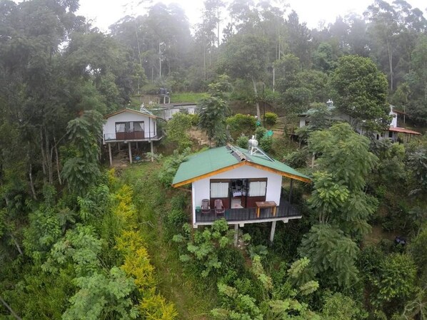 A treehouse-style accommodation with a green roof, surrounded by dense forest.