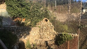 Un muro de piedra con una valla de metal y follaje.