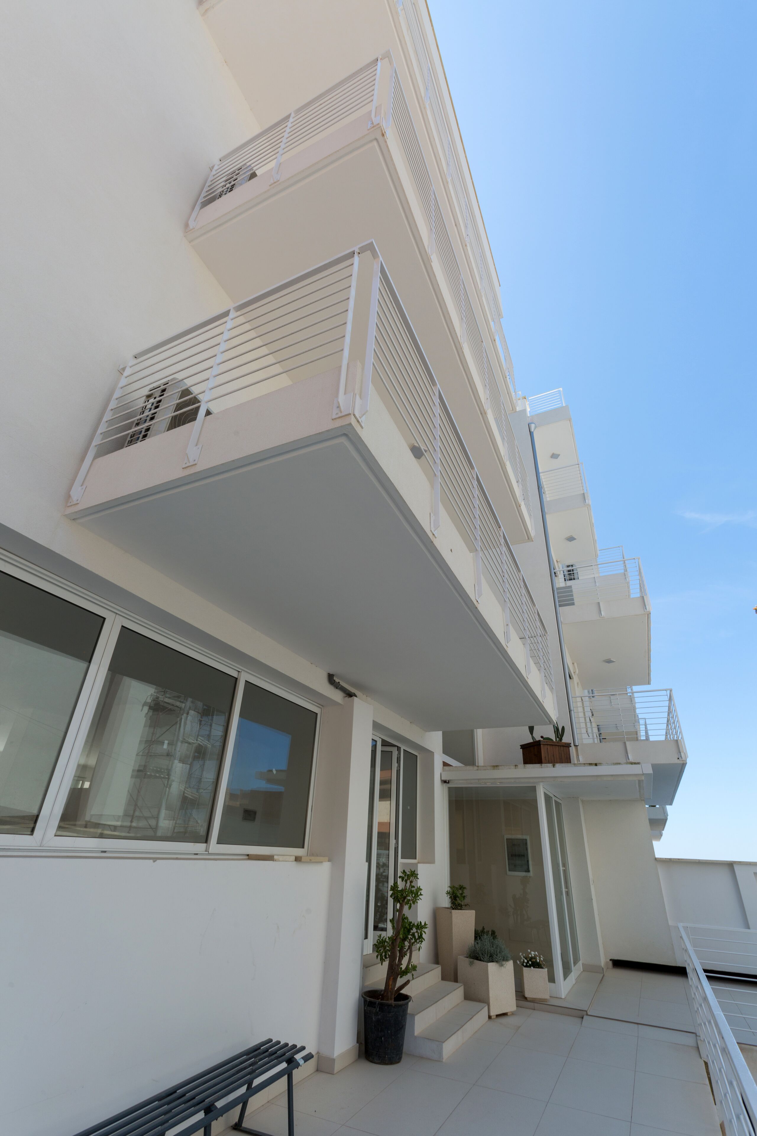 Foto - Spuma di mare