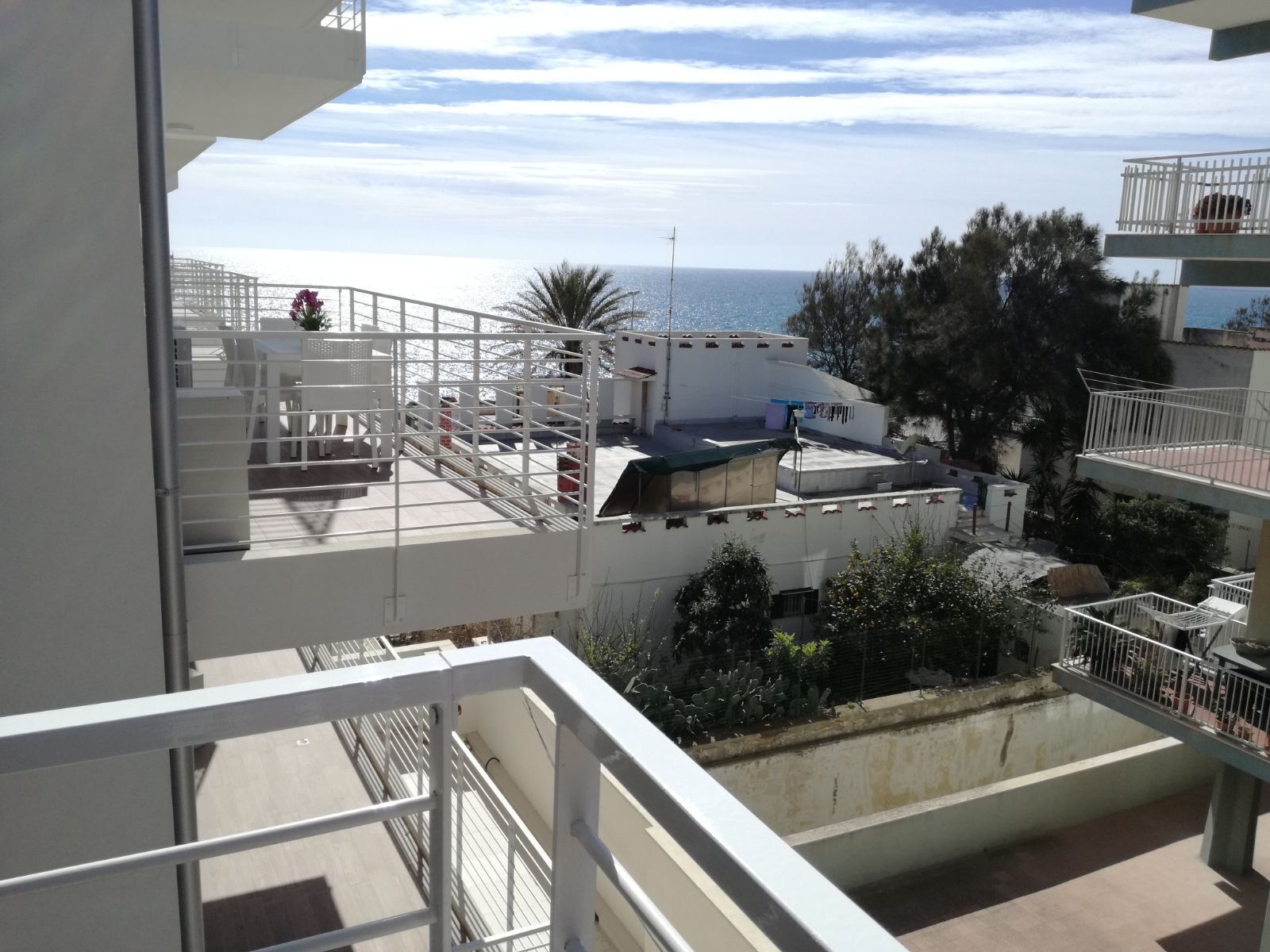 Foto - Spuma di mare