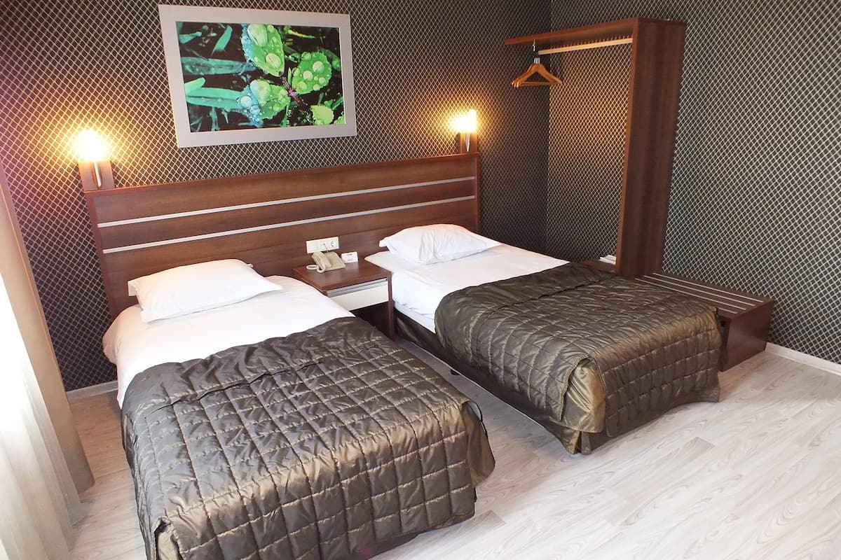 city twin room, 2 single beds, mountain view | egyptian cotton sheets, premium bedding, minibar, desk