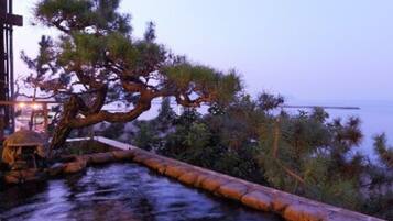 Aguas termales