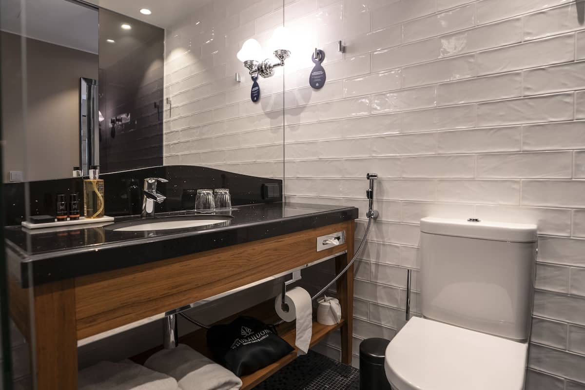 shower, rainfall showerhead, free toiletries, hair dryer