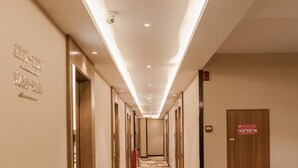 Un couloir d'hôtel avec un sol recouvert de moquette, des portes sur le côté gauche et une plante en pot sur le côté droit.