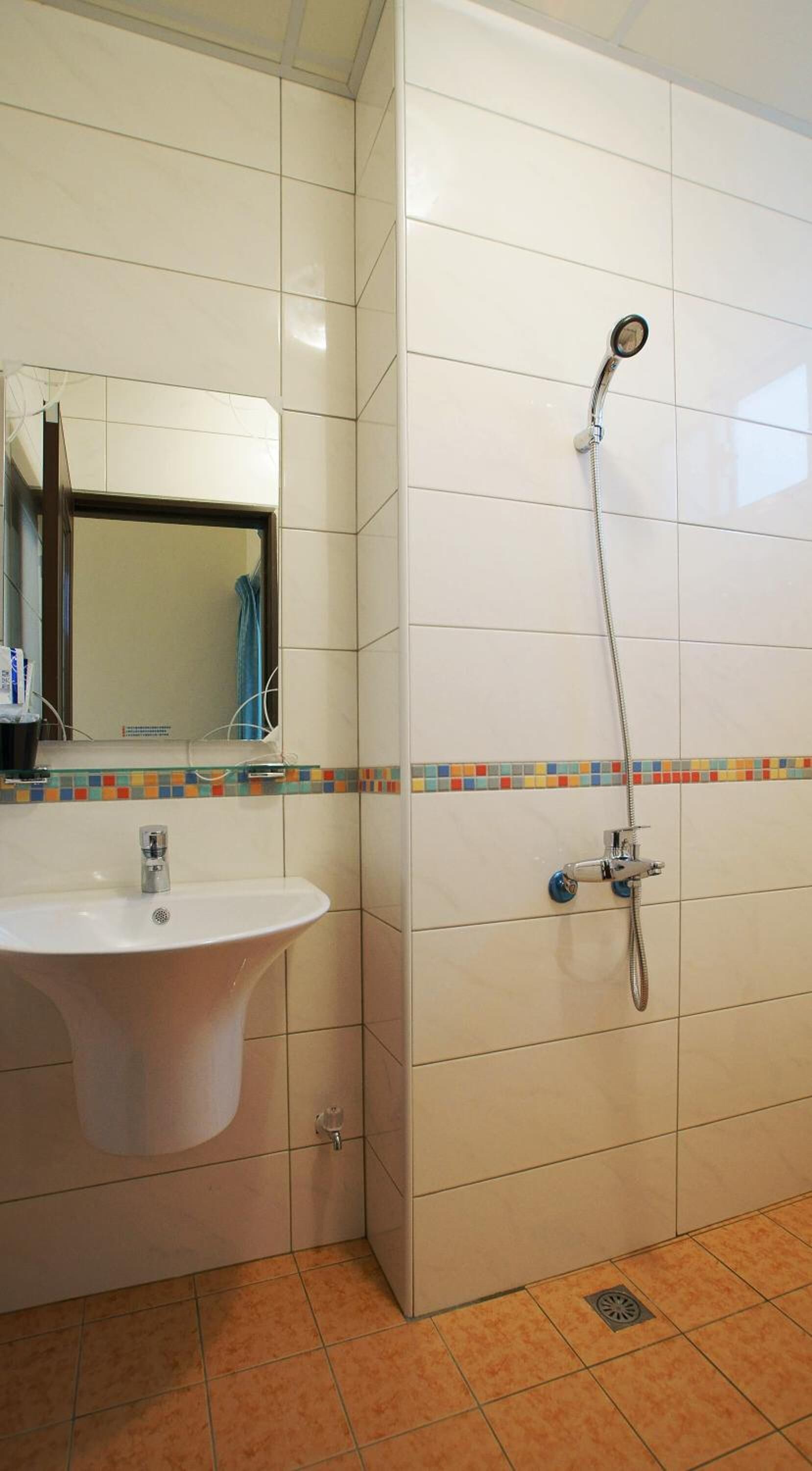 A bathroom with a white sink, a mirror, and a shower with a handheld showerhead.