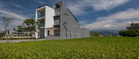 A modern building with a unique architectural design, situated in a lush green field.
