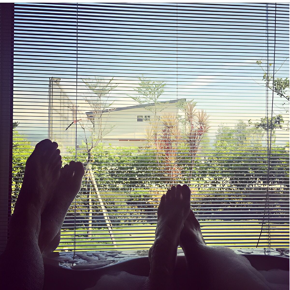 A person relaxing with their feet up by a window with horizontal blinds, overlooking a garden with various plants and a building in the distance.