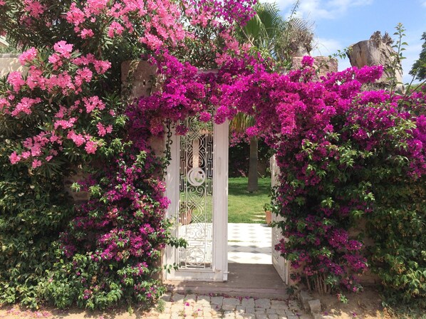 Entrada de la propiedad