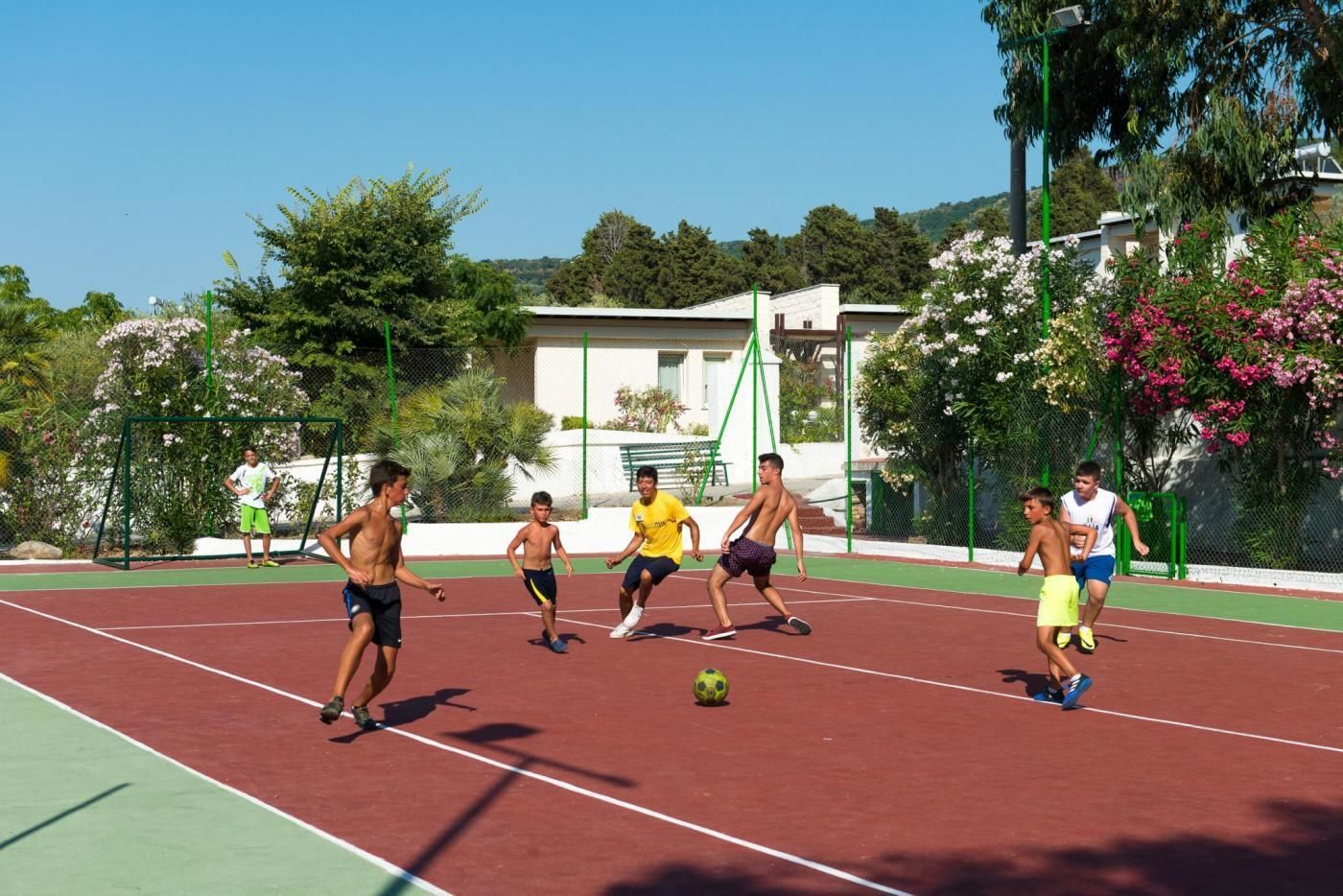 Sport court