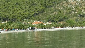 未分類圖片，第 4 張 (共 81 張)，按鈕