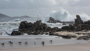 Une plage rocheuse où les vagues s’écrasent contre les rochers et où l’on peut apercevoir des mouettes sur le rivage.