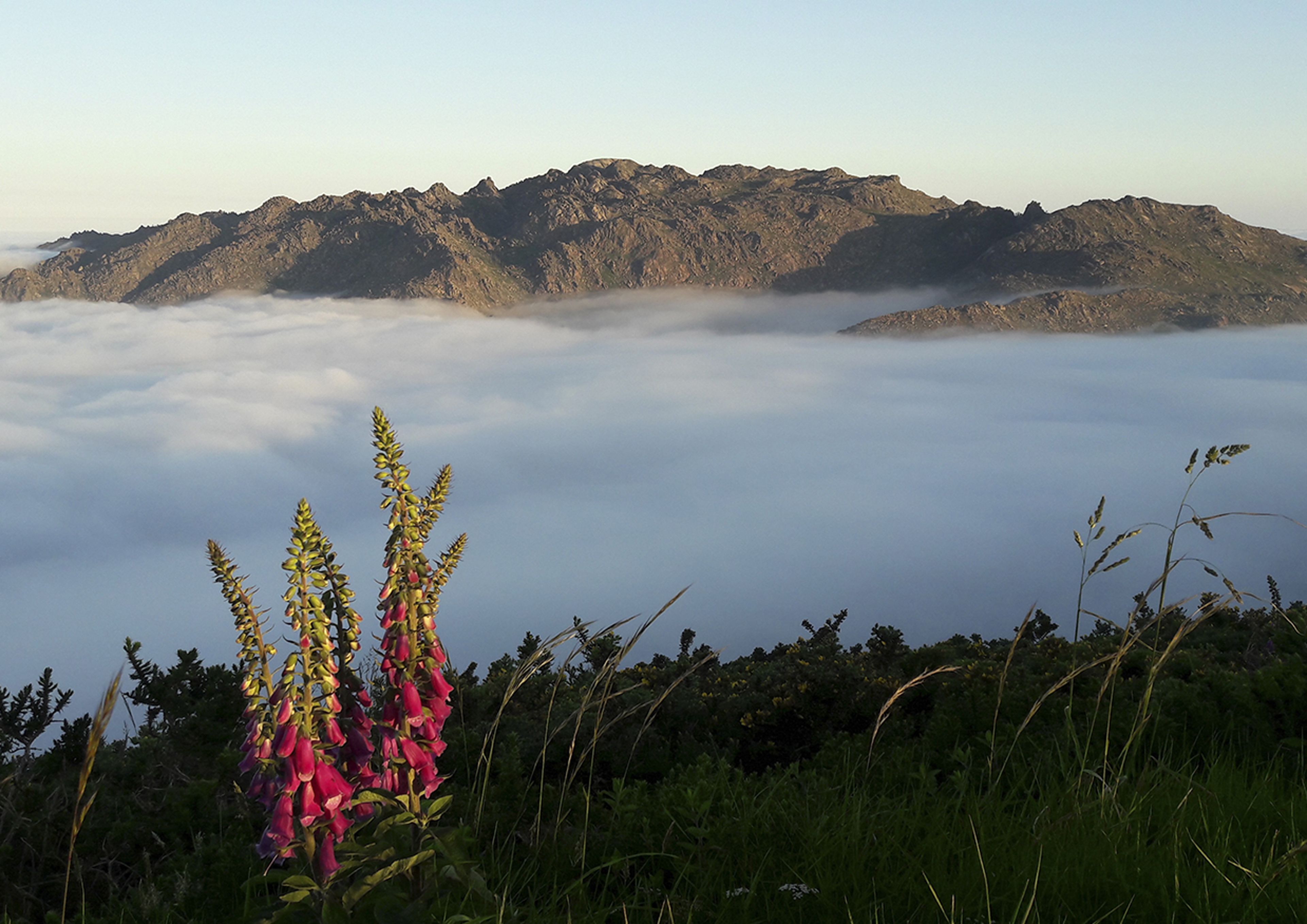 Photo - Hospedium Morada da Moa