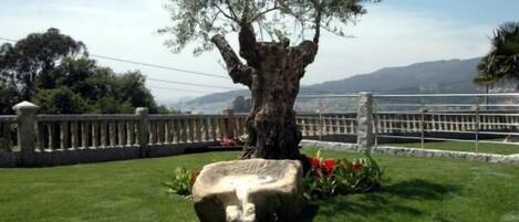 A tree with a stone base in a landscaped area with a view of a body of water and distant hills.