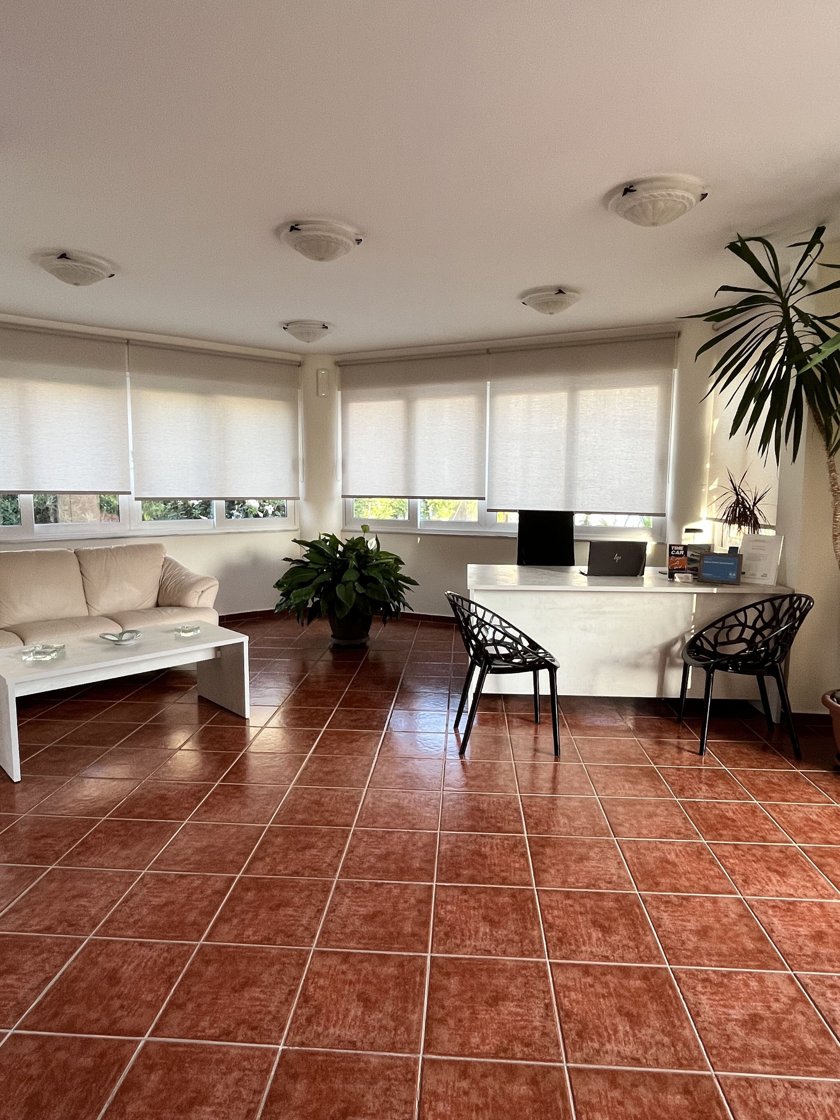 A spacious living room with a white sofa, a coffee table, and a dining area with chairs. There is a kitchen area with a counter and a plant.