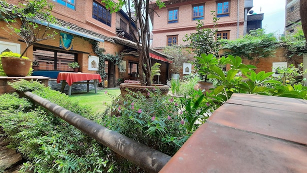 Une cour bordée de bâtiments en briques, avec des plantes en pot, une table recouverte d’une nappe rouge et un grand arbre.