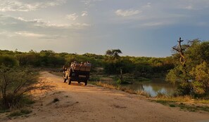 Game viewing - Kingfisher Creek Safari Lodge (Hoedspruit)
