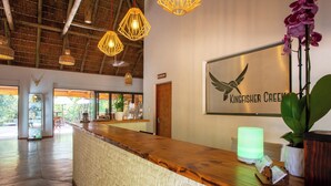 Un área de recepción con mostrador de madera, luces de mimbre colgantes, un letrero que dice Kingfisher Creek y una lámpara cilíndrica verde.