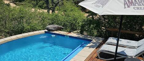 Piscine extérieure, chaises longues