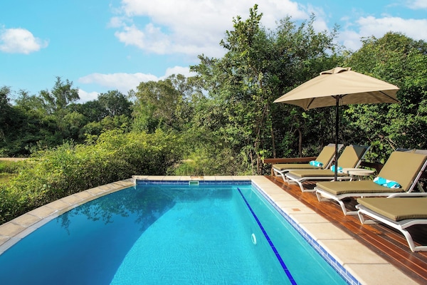 Outdoor pool, sun loungers