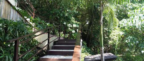 A wooden staircase surrounded by lush greenery, leading to a covered outdoor area.