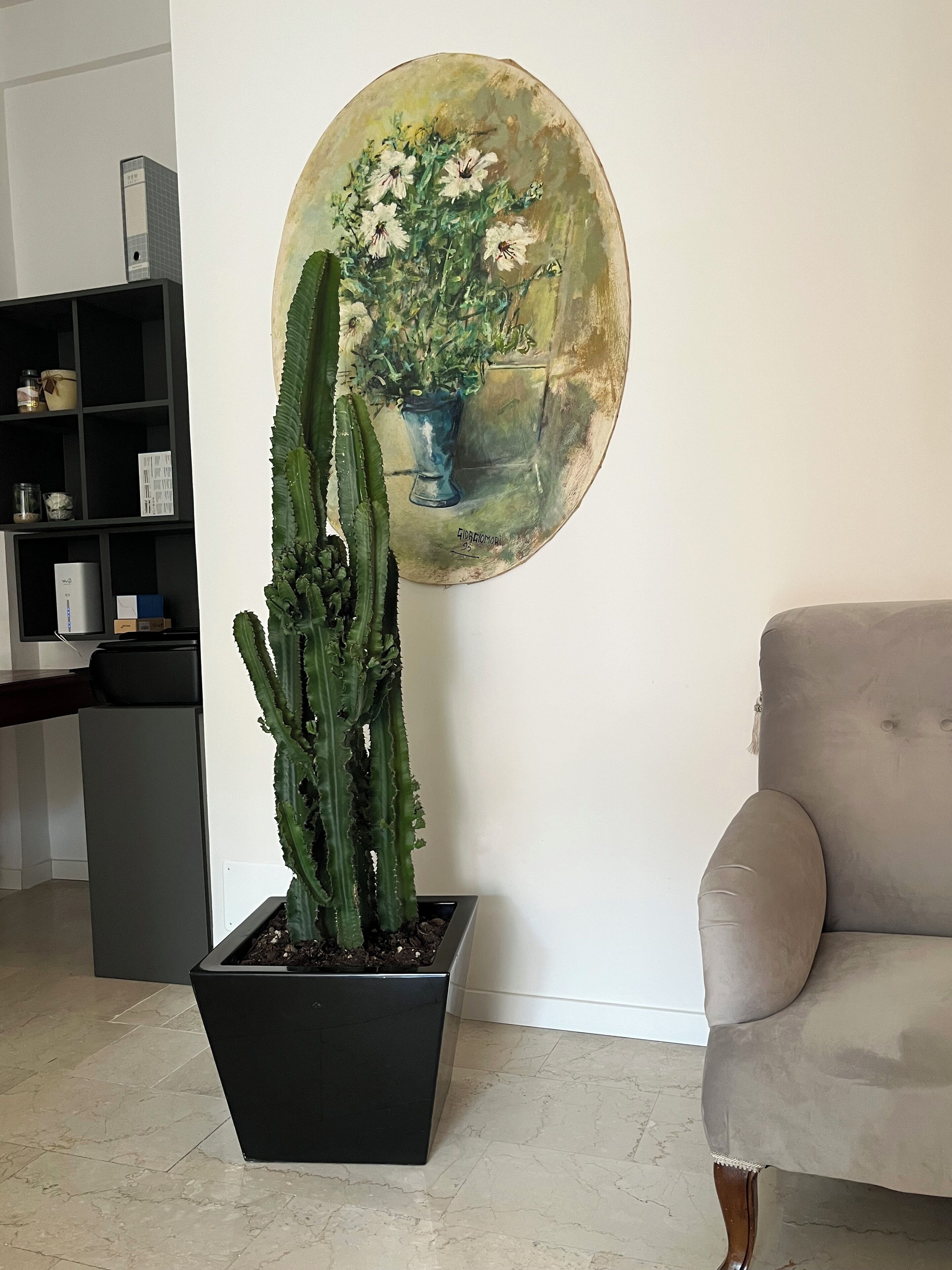 Foto - Fleur Blanche