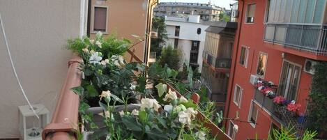 Camera doppia, bagno in camera,con il balcone | Balcony