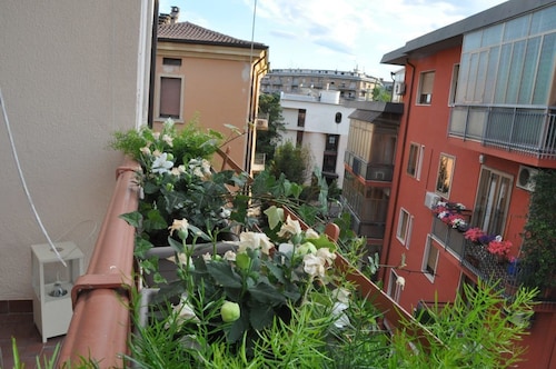 Fleur Blanche
