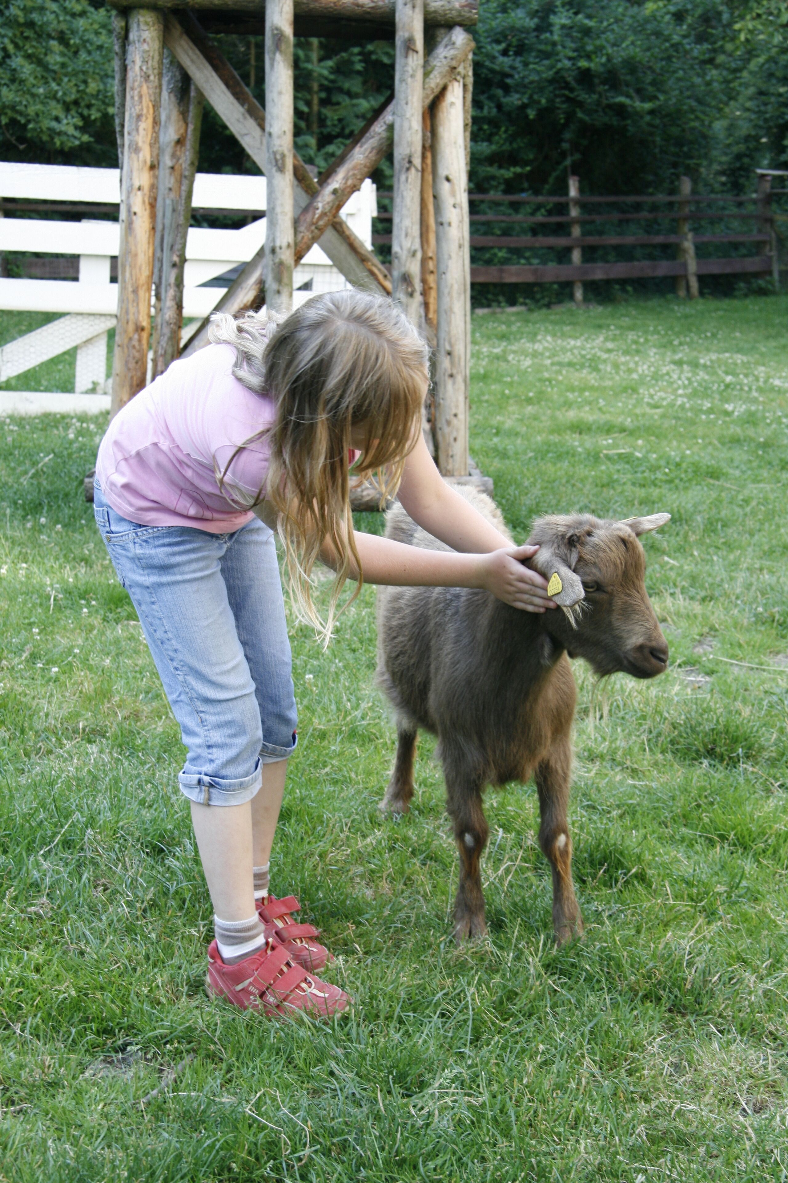 children’s activities