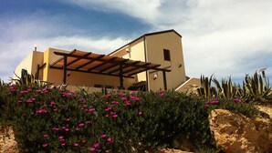 Un bâtiment doté d’un toit plat, d’une pergola et d’un jardin agrémenté de fleurs roses.