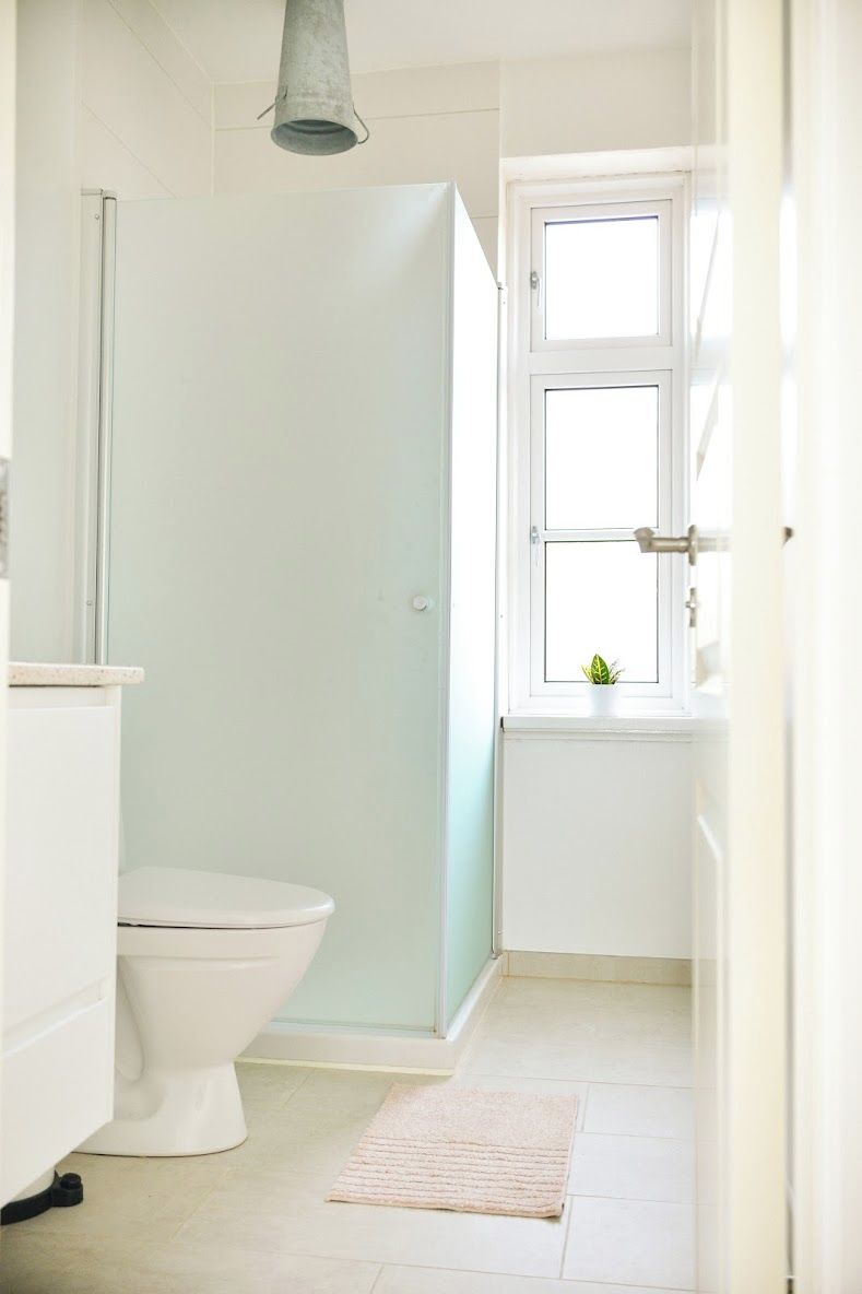 A bathroom with a toilet, a shower, and a window with a plant.