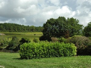 Un paisaje rural con un gran árbol, un seto y un campo.
