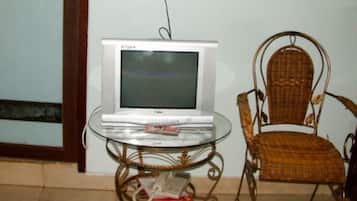 電視