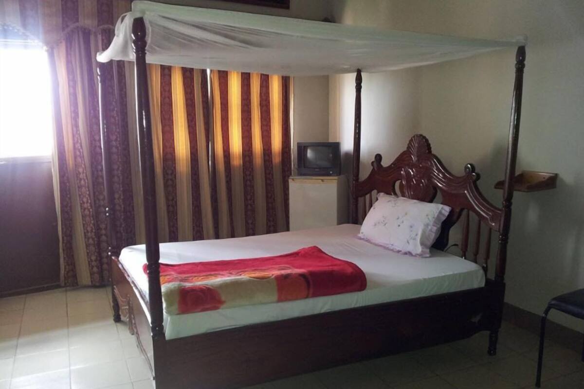 A four-poster bed with a canopy, a television on a stand, and a wooden headboard.