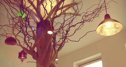 Spirit Lodge Leipzig - Hostel