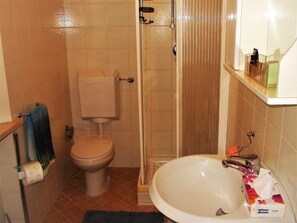 A bathroom with a toilet, a sink, and a shower. - Agriturismo Raggio di Sole (Montepulciano)