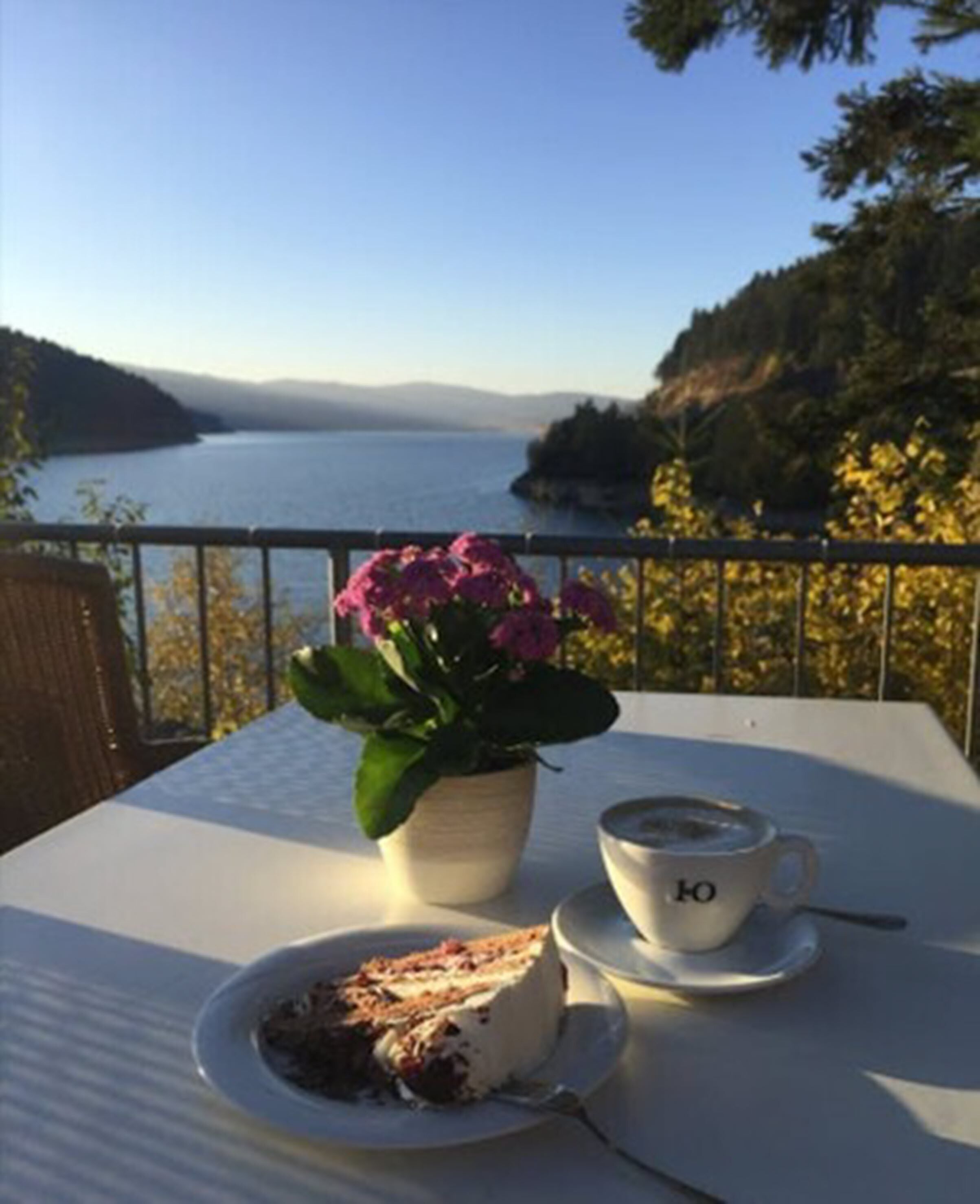A table with a slice of cake and a cup of coffee, a potted plant with pink flowers, and a view of a lake and hills.