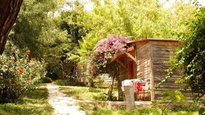 A rustic wooden cabin with a stone pathway leading to it, surrounded by lush greenery and flowering plants. - Likya Lodge Adrasan (Kumluca)