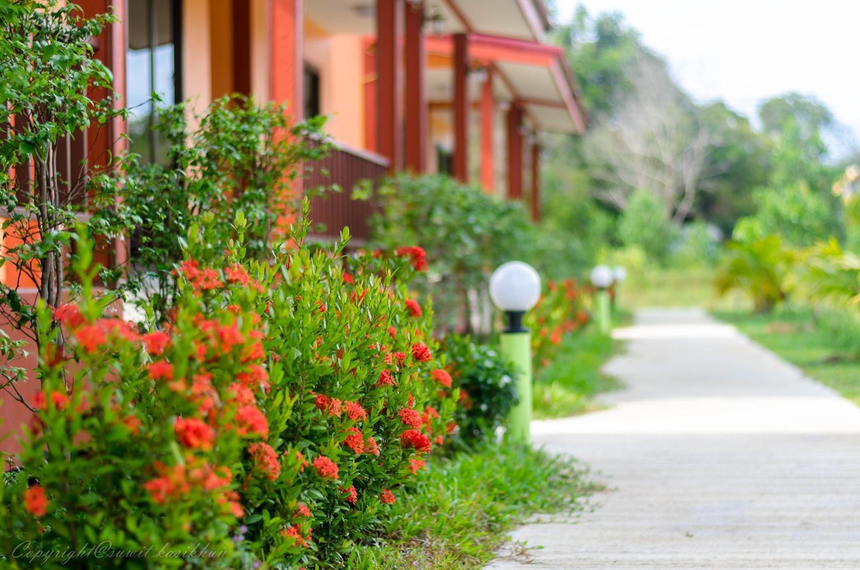 Photo - Toongyoong Longbeach Resort SHA Plus