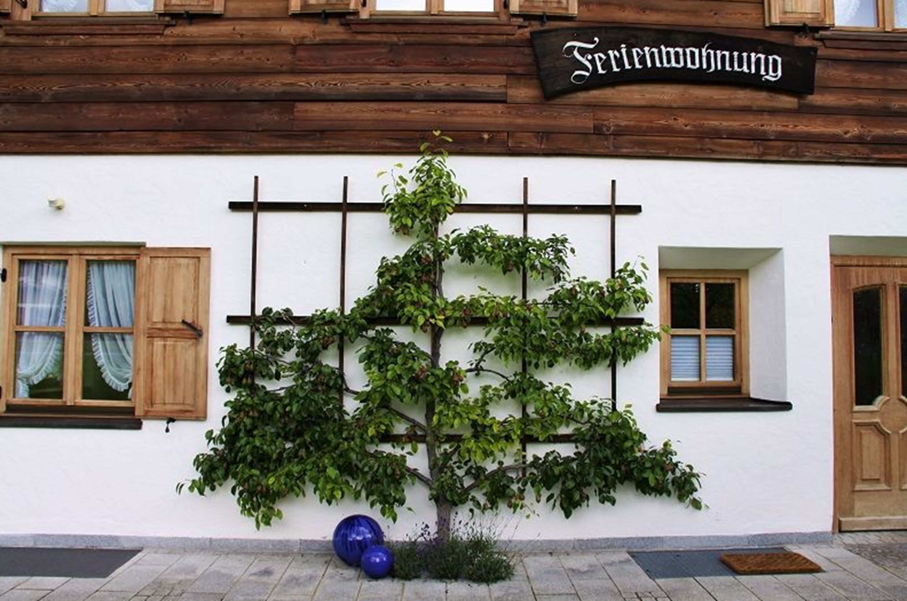 A building with a sign reading "Freiwohnung" and a tree planted in front.