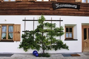 A building with a sign reading "Freiwohnung" and a tree planted in front.