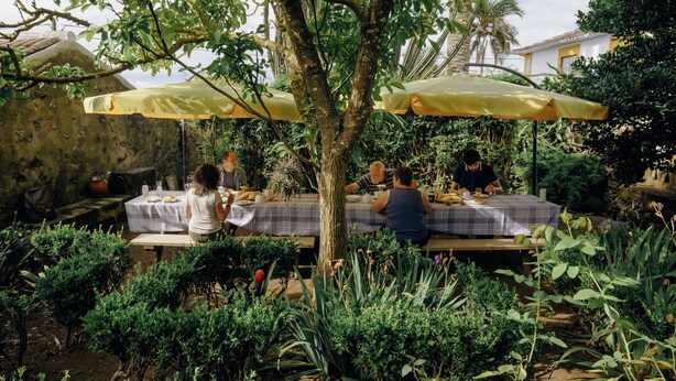 Un espace de restauration en plein air avec des tables placées sous des parasols jaunes, entouré d’une végétation luxuriante et d’un mur de pierre.
