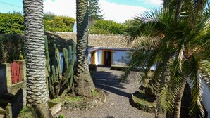 Une cour bordée de palmiers, un chemin de gravier et un bâtiment surmonté d’un toit en tuiles.