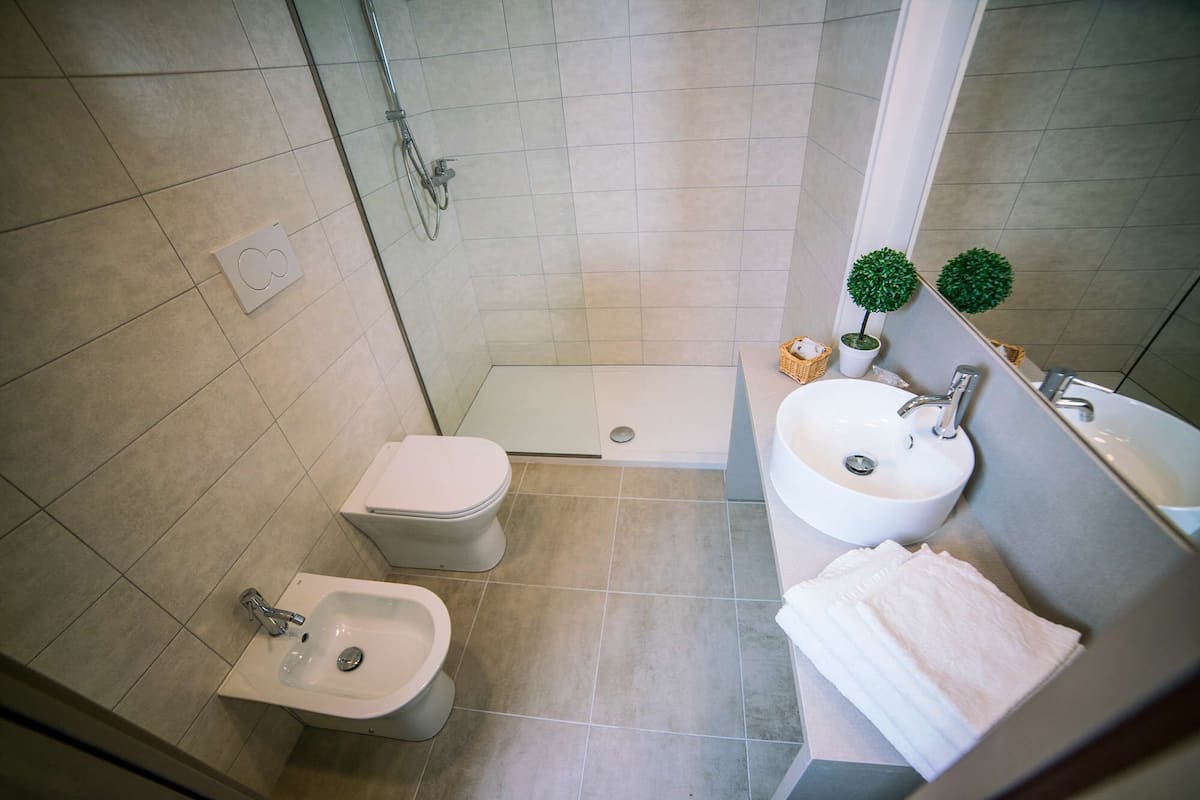 shower, free toiletries, hair dryer, towels