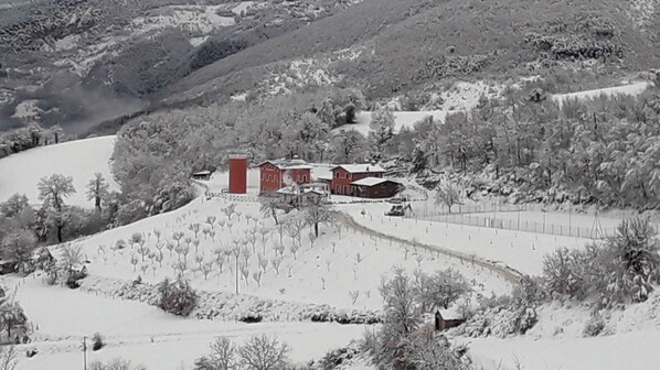 Utsikt från luften