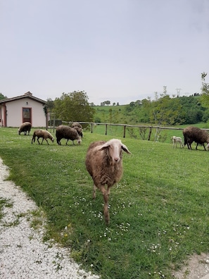 Aussenbereich
