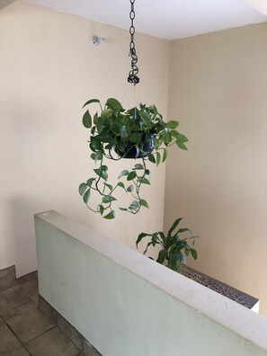 Détail de l’intérieur