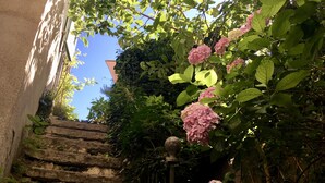 A stone staircase leading up to a building, surrounded by lush greenery and pink hydrangea flowers. - Les Asphodeles (Saint-Hippolyte-du-Fort)