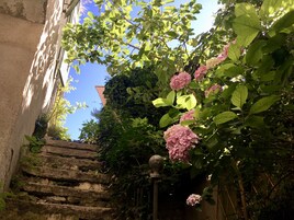 Una escalera de piedra conduce a un edificio, rodeado de exuberante vegetación y flores de hortensia rosadas.