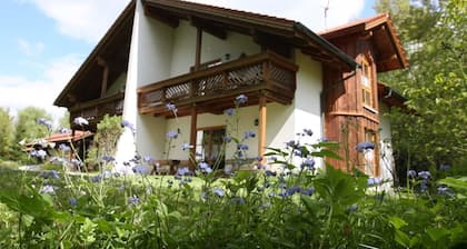 Ferienhäuser In der Waldperle
