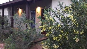 Een huis met een veranda, een schotelantenne en gele bloeiende planten op de voorgrond.